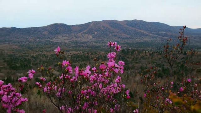 Познание себя