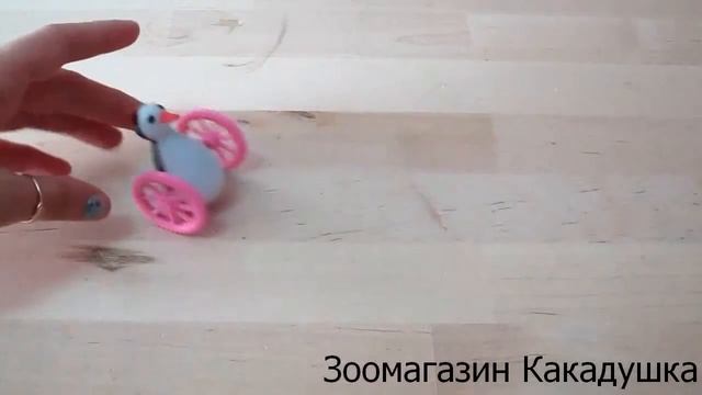 Игрушка для попугая "Пингвин на колесах" смотреть онлайн