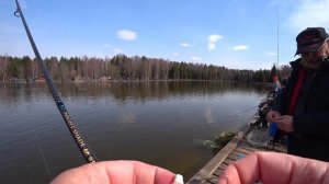 Платная рыбалка на форель