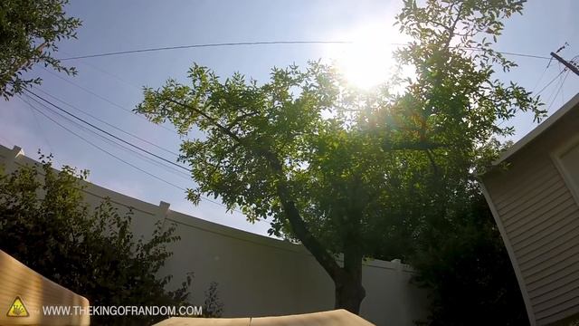 TOO Much FUN! смотреть онлайн