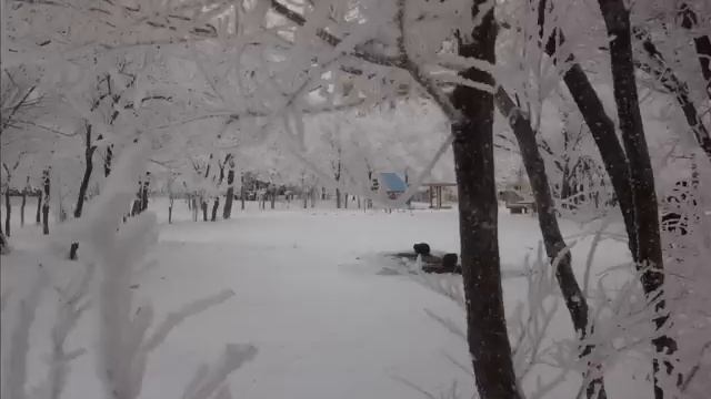 Зимний сад (2013)