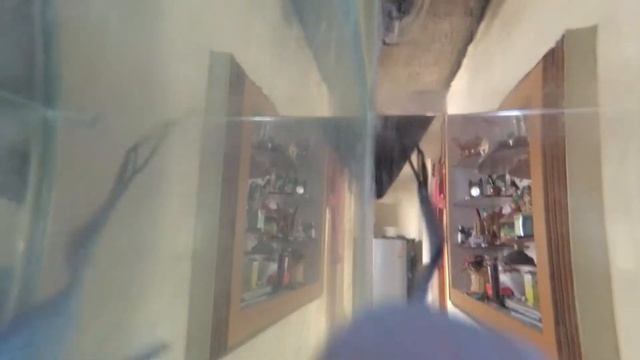 Best 4K Action Camera | YI 4K action camera review | Help in Tamil смотреть онлайн