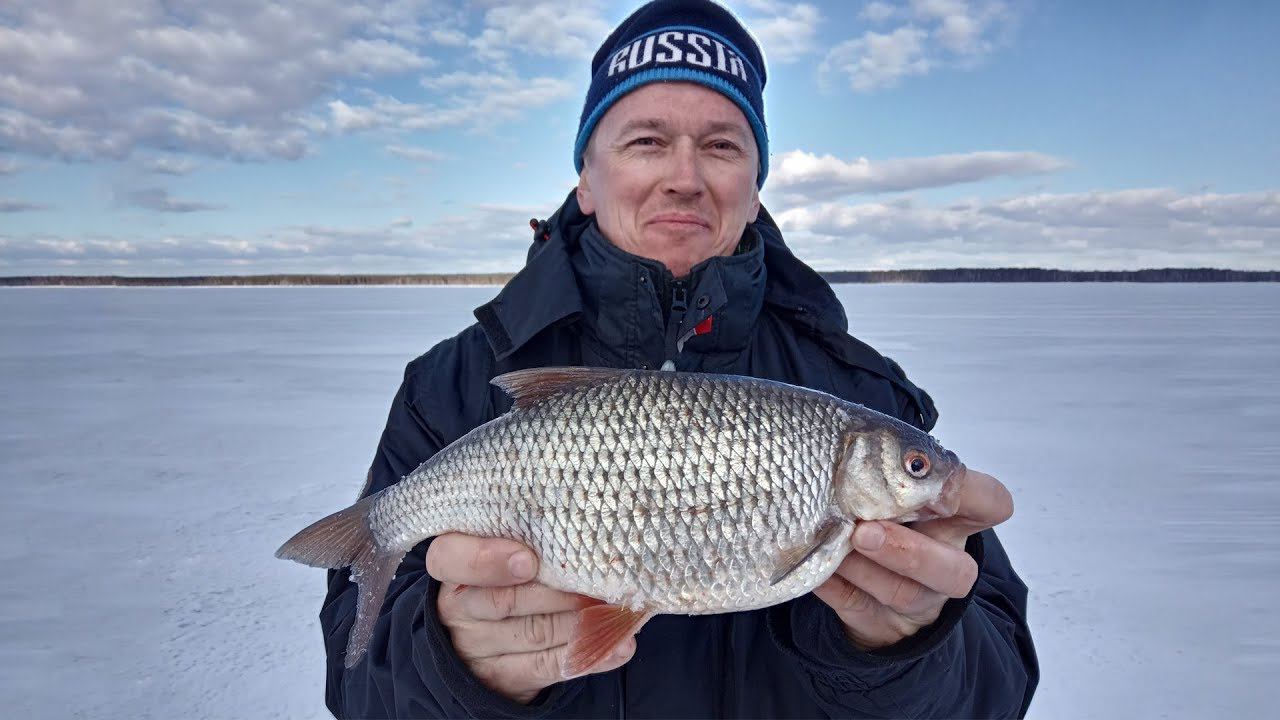 Искали судака, нашли СОРОГУ. Чёртик рулит. смотреть онлайн