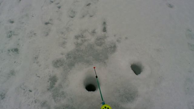 Пробная рыбалка на хариуса в феврале смотреть онлайн