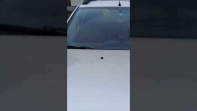 Решаем проблему: троит двигатель на "Рено Дастер". смотреть онлайн