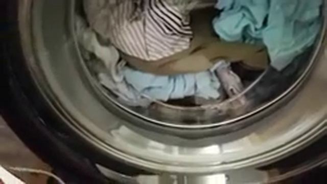 Каким порошком пользоваться и сколько нужно смотреть онлайн