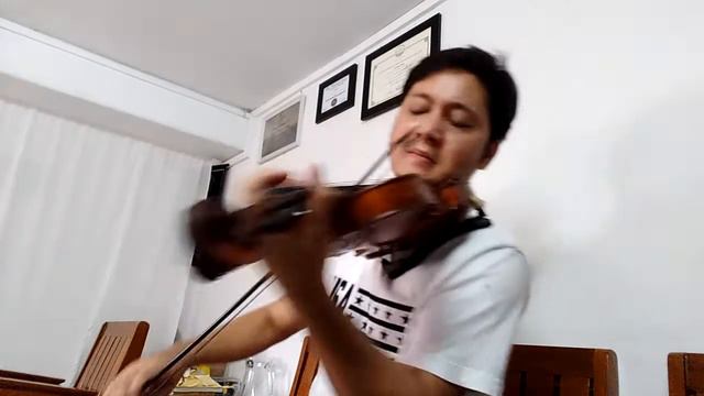 Song From The Secret Garden Violin Cover By Saw Adam смотреть онлайн