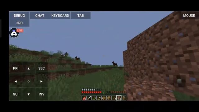 Minecraft Java Stream смотреть онлайн