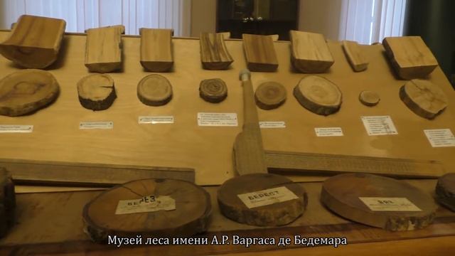 Экскурсии для первокурсников РГАУ-МСХА имени К.А. Тимирязева смотреть онлайн