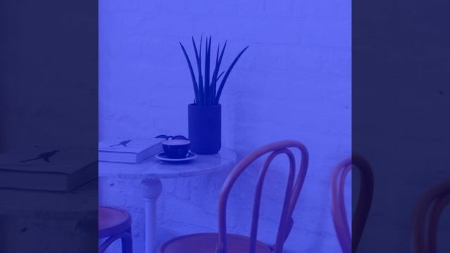 Stellar Music for Sydney Coffeehouses смотреть онлайн