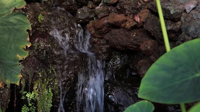 Красота Природы Звуки воды Музыка Релакс смотреть онлайн