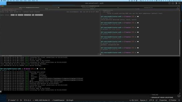 Learning and using NATS Connectivity Technology - Part 18 смотреть онлайн
