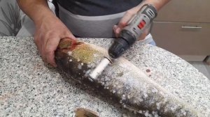 Рыбочистка насадка на шуруповёрт.