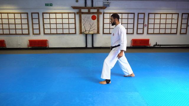 4 Steps to Stepping Forward in Zenkutsu Dachi смотреть онлайн