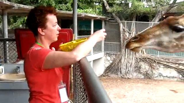 ПАТТАЙЯ 2014 МИША ЛЕНА смотреть онлайн