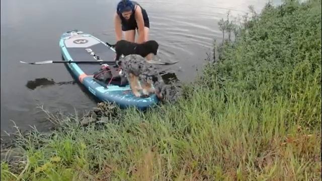 MyBoat 11.5 ft inflatable paddle board, Land Between the Lakes, KY смотреть онлайн