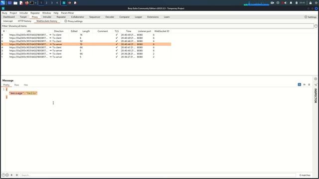 Web Socket Vulnerabilities Lab01 смотреть онлайн