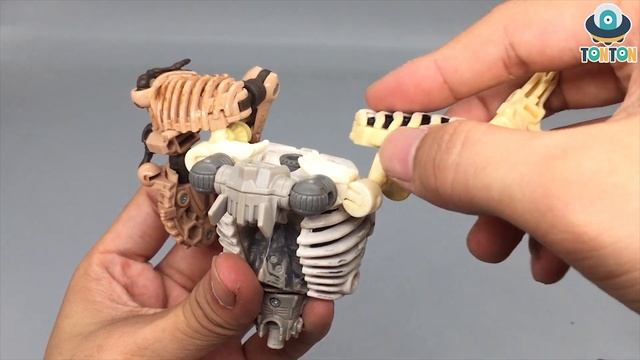 Transformer Kingdom Fossilize Combine: How To Fix It / Complete Mode