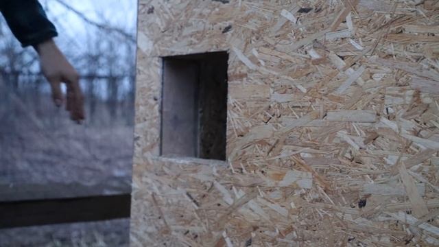 Делаю загон для птицы. Теперь всё под контролем... смотреть онлайн