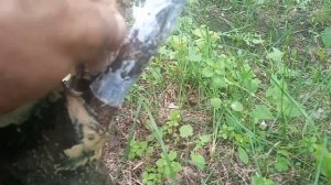 Как спасти сломанные ветви и стволы яблони или любого другого дерева.