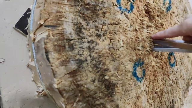 Скрытое безоборотное метание ножа из рукава броском сверху. смотреть онлайн