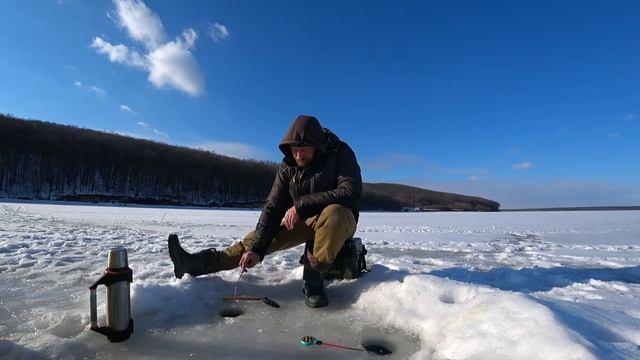 Маскировка землянки. Непрошеные гости. Готовлю свой трофей. смотреть онлайн