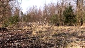 Kummersdorf Gut п.п.89945 воспоминание