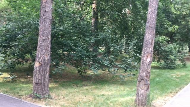 Екатеринбург 28.07.2022 Парки: Чкалова, 50-летия ВЛКСМ, Зеленая роща, у Гринвича, XXII партсъезда. смотреть онлайн