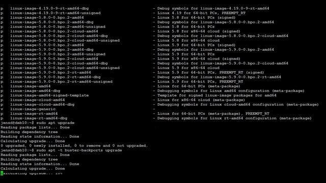 Install a newer kernel in Debian 10 (buster) stable смотреть онлайн