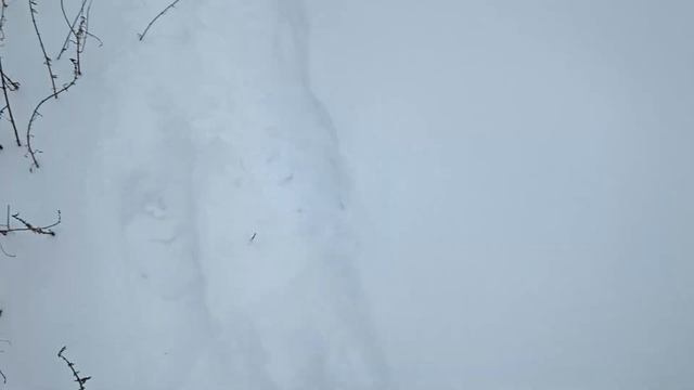 НОВЫЙ СТАРЫЙ "НОВЫЙ ГОД"! Беларуская деревня на берегу озера. Погуляю вас по льду, кто хочет! смотреть онлайн