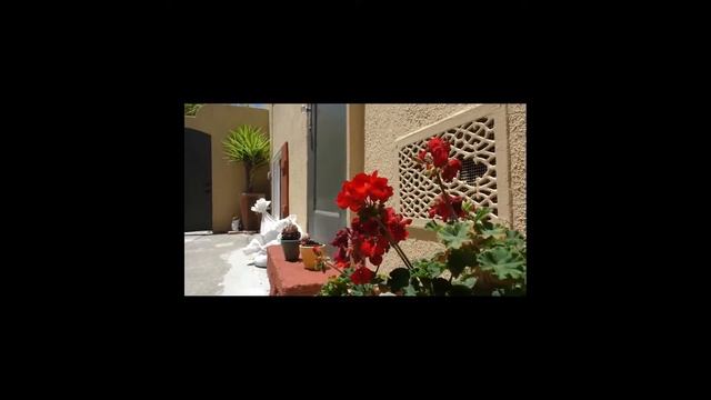 Ronin m Panasonic HC X-1000 смотреть онлайн