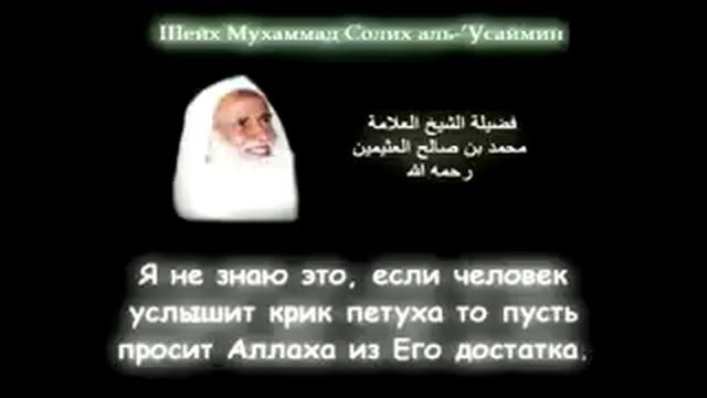 Шейх Салих Усаймин - шутка от шейха смотреть онлайн