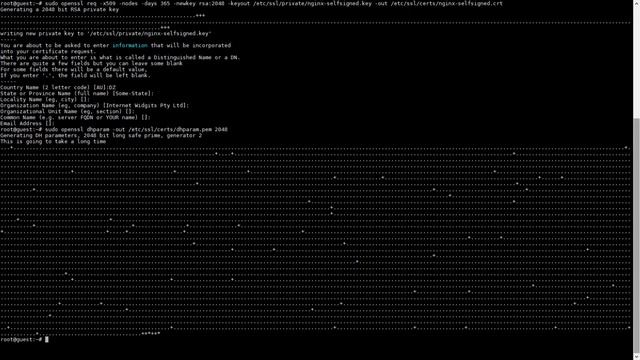 How to Generate SSL & Configure HTTPS on nginx linux ( Debian9 stretch ) смотреть онлайн
