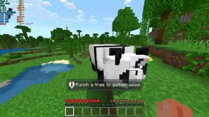 Minecraft Bedrock: Vega 8 + Ryzen 7 5700U - Max 1920x1080