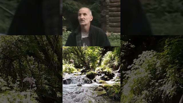 Всё Обман!!! Это Очень Тяжело По Греху Жить!!! Пётр Мамонов смотреть онлайн