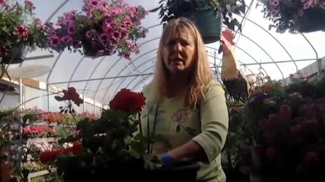 Patio Pots Webinar смотреть онлайн