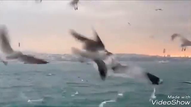 Nazım Hikmet - Seni Düşünmek Güzel Şey Şiiri смотреть онлайн