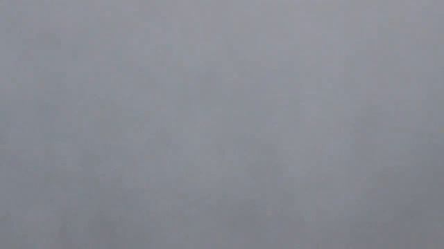 николаевские голуби 14 11 2018 4- 8 в пользу ястреба смотреть онлайн