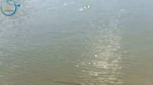 Ловля на Херабуну в Никольской Слободе