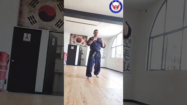 Pateo hapkido смотреть онлайн