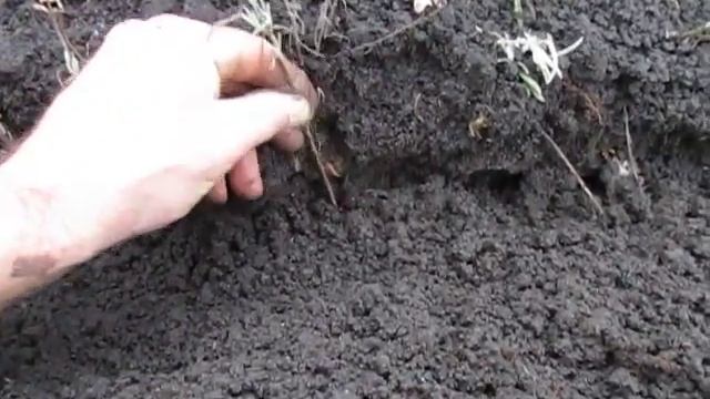 Техника Фокусов и Манипуляций