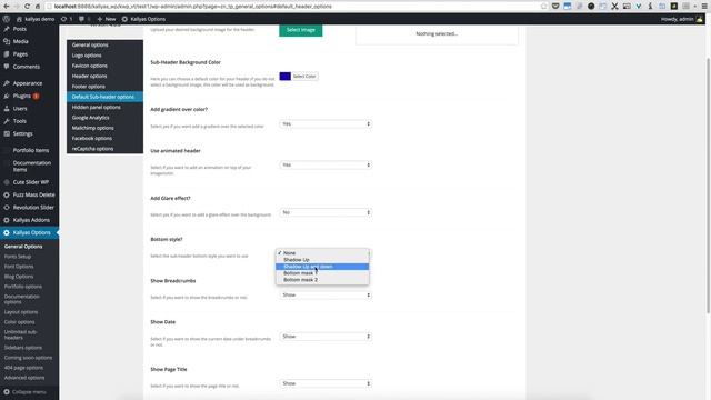 Default subheader options in Kallyas options ( Kallyas WordPress theme v4.0 ) смотреть онлайн