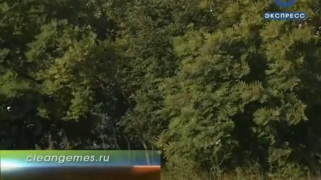 Пензенцам за уборку мусора в Арбековском лесу вручат призы смотреть онлайн