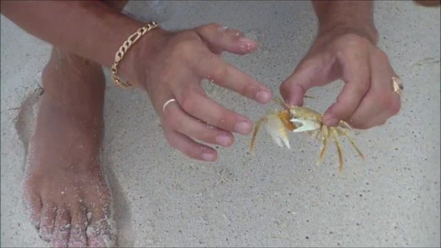 Сейшелы, пляж ANSE BAZARCA смотреть онлайн