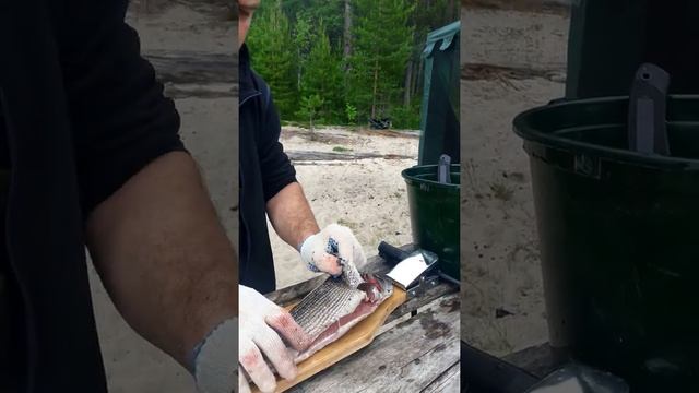 пятиминутка или обдир хариуса, очень вкусно! часть 1 смотреть онлайн