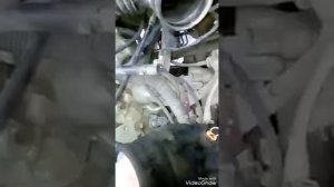 Чери  тигго не включаются фонари заднего хода  и паркторик