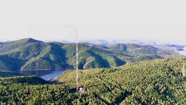 Зея смотреть онлайн