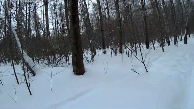 Пришла весна, в лесу туман! Прошел февральский ливень! смотреть онлайн