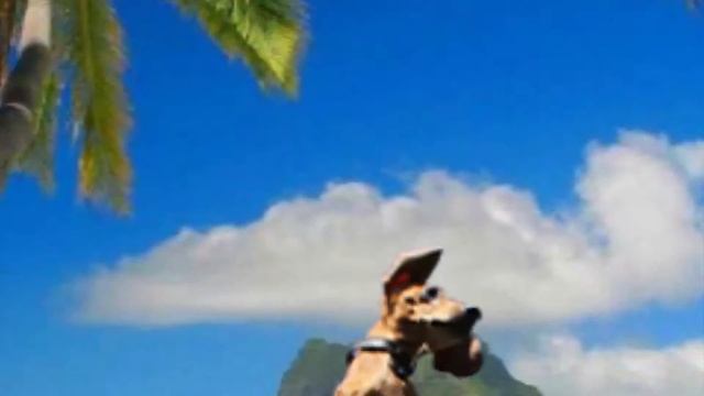 Летающий пёс! Прикол:))) смотреть онлайн