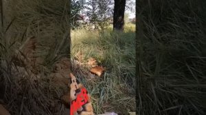 БЕЗУМНЫЙ ПАША. ИРИШКА ЧИКИ ПИКИ В КУПАЛЬНИКЕ ГОТОВИТ САЛАТ ПОД ШАШЛЫЧОК.